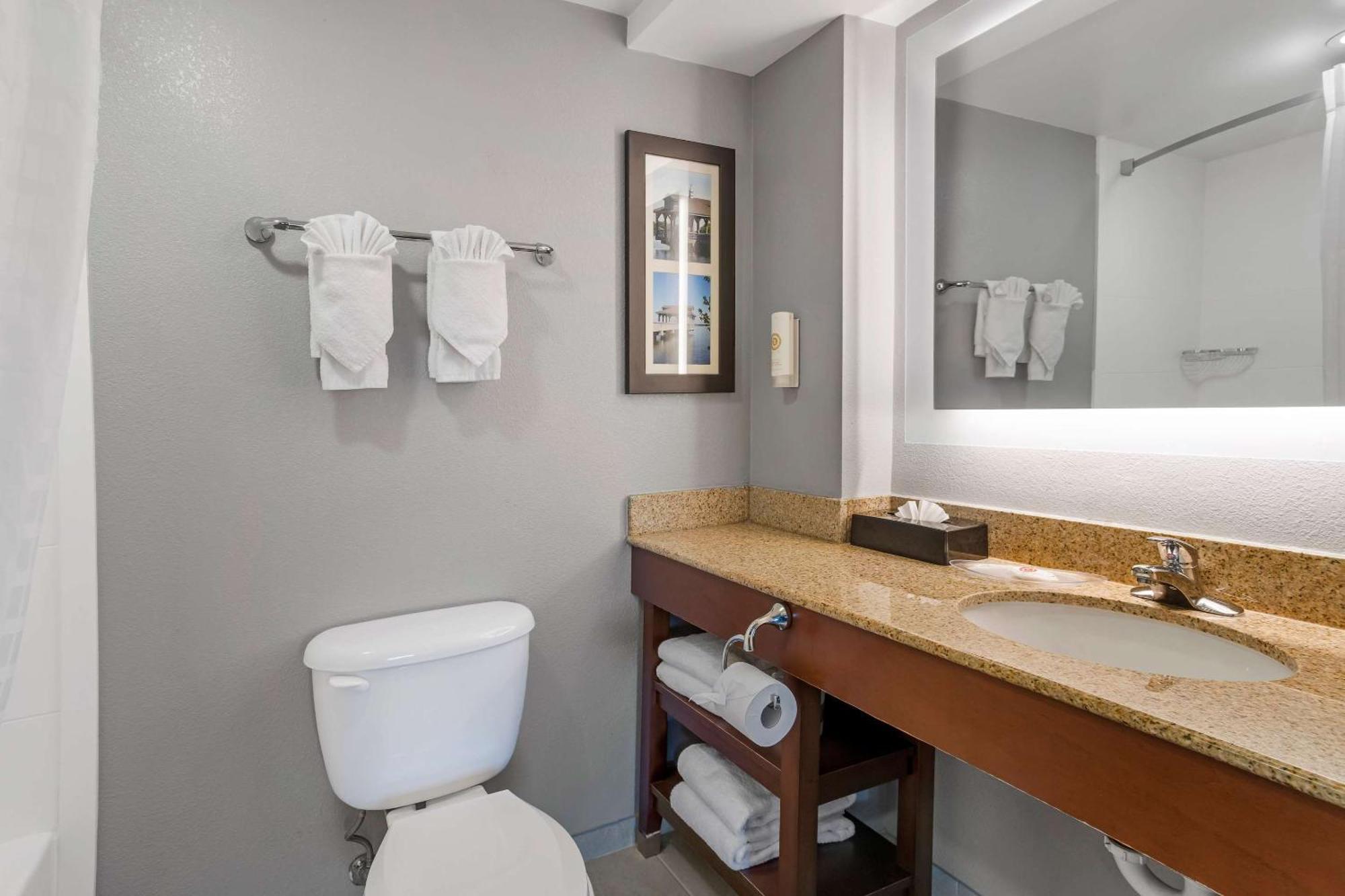 Comfort Suites Near Birkdale Village- Хантерсвилл Экстерьер фото